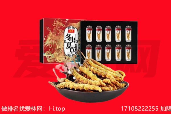 玉溪回收虫草.jpg